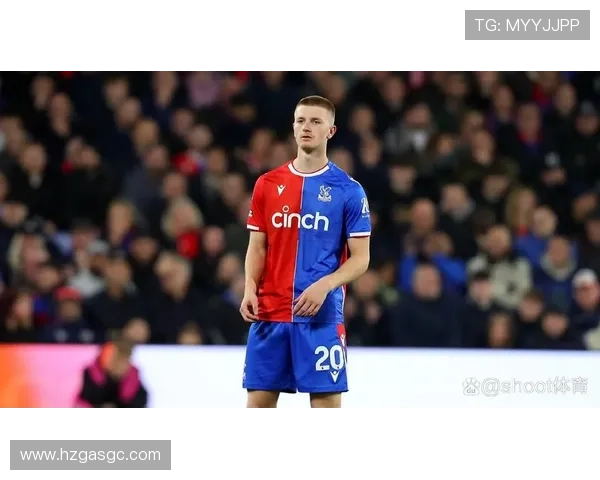 水晶宫转会策略